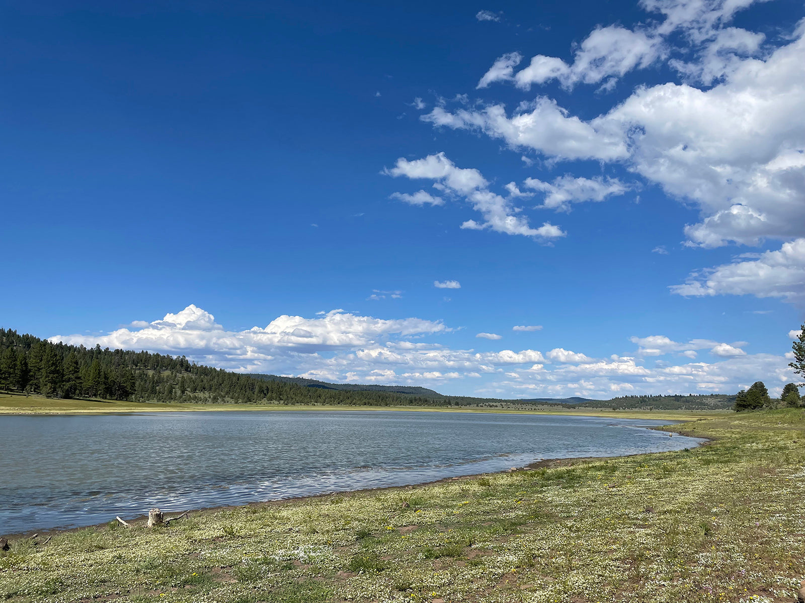 Racer Gloves Travel: Antelope Res Ride